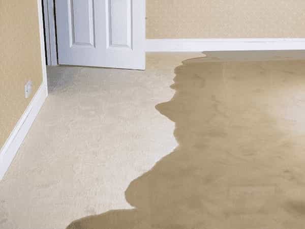 sarasota water leak repair Sarasota