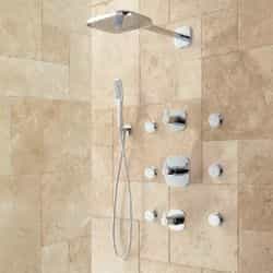 Moen shower sarasota