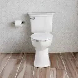 American Standard toilet sarasota