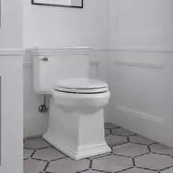 Kohler toilet sarasota
