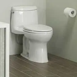 Grohe toilet sarasota